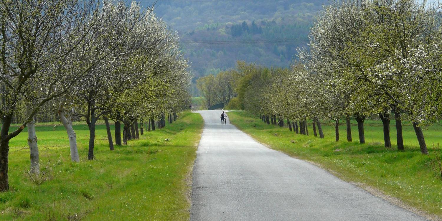 Frühling