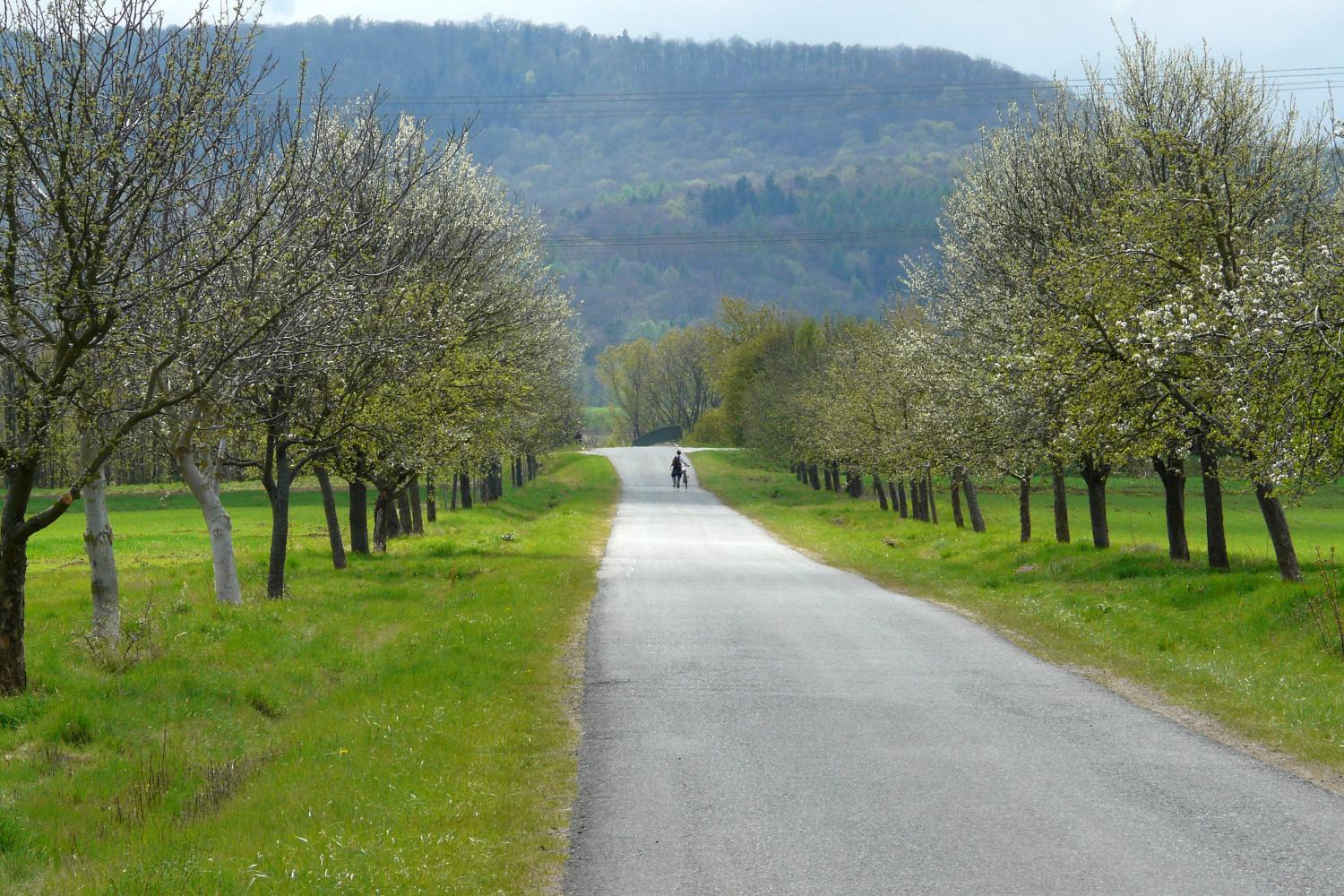 Frühling