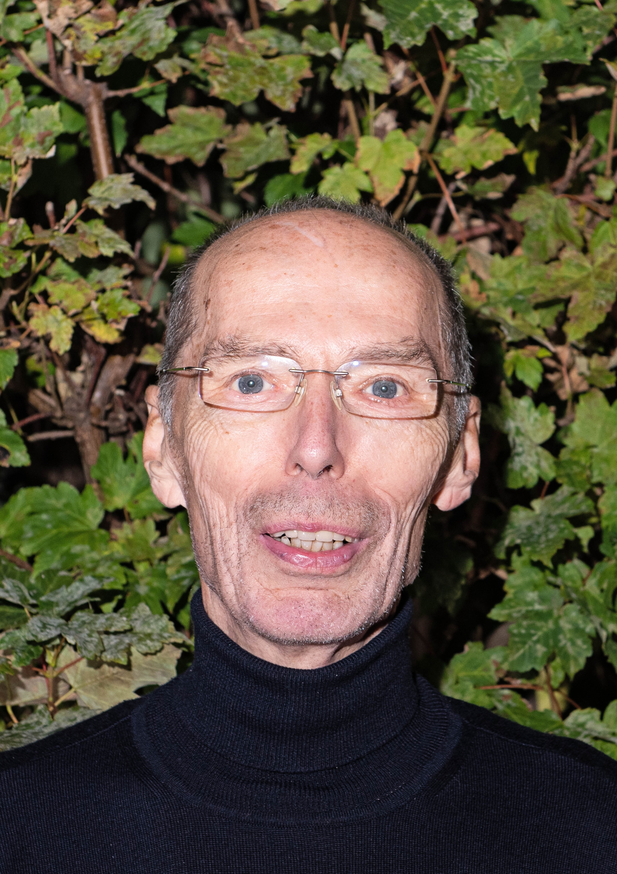 Dr. Norbert Hoyer